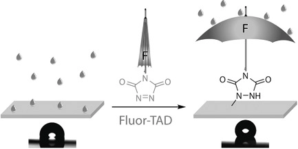 Covalent Fluorination Strategies for the Surface Modification of Polydienes